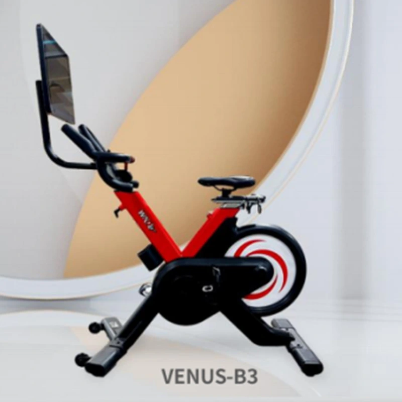 New Style Wnq 21.5 Inch Spinning Exercise Bike