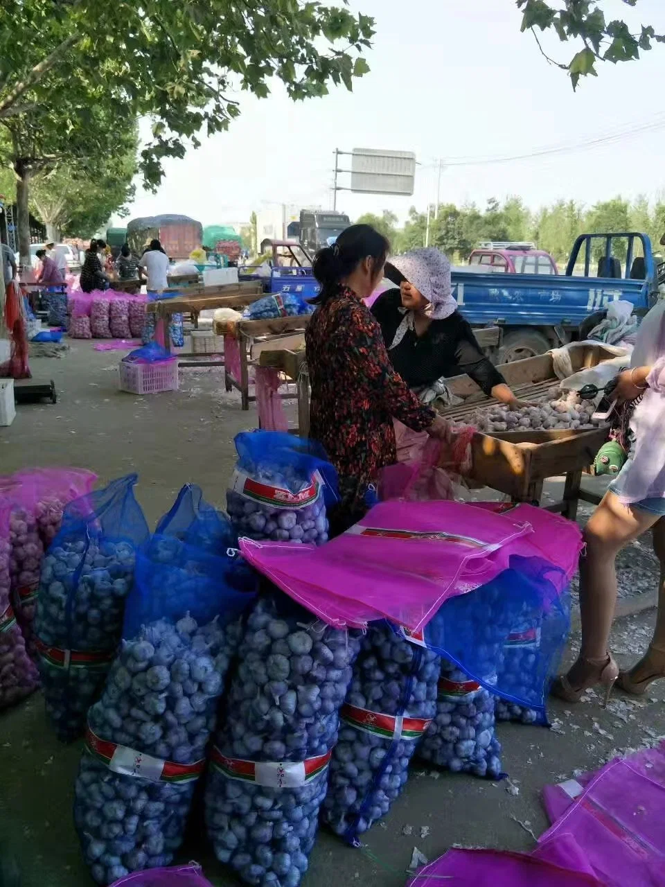 Qualidade alta importação fresca alho China embalagem de alho de alho