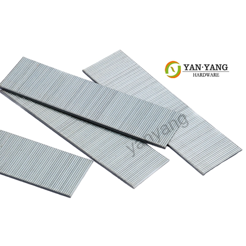 Yanyang Customized 8010 Galvanized Sofa Nails 8012 Upholstery Sofa Furniture Staples