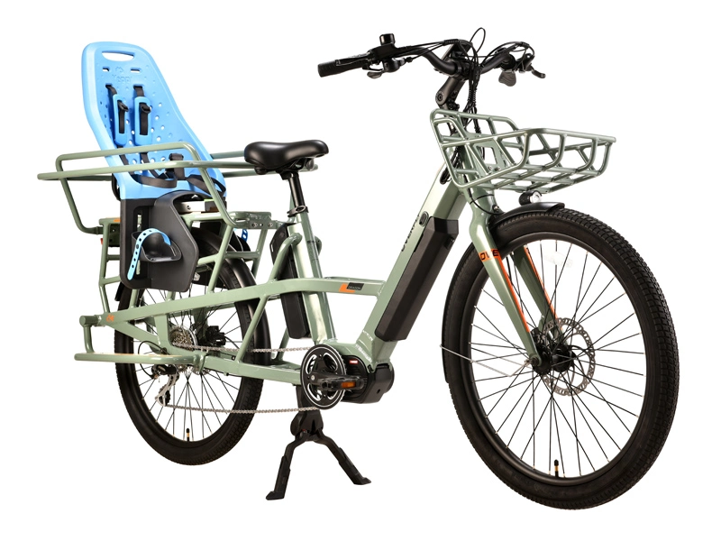 Carga de bicicleta de motocicleta Eléctrica dos ruedas carga Eléctrica para Passwanger 2wheels bicicleta de carga eléctrica de cola larga de la familia