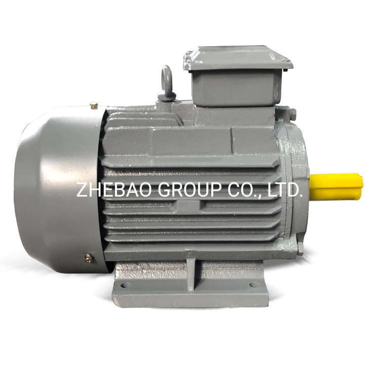 Ie3 High Efficiency Cast Iron Three Phase Induction AC Electric Motor