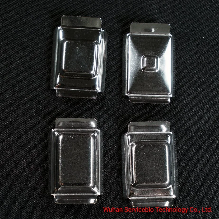 Tansoole Stainless Steel Sample Embedding Box Bottom Mold Paraffin