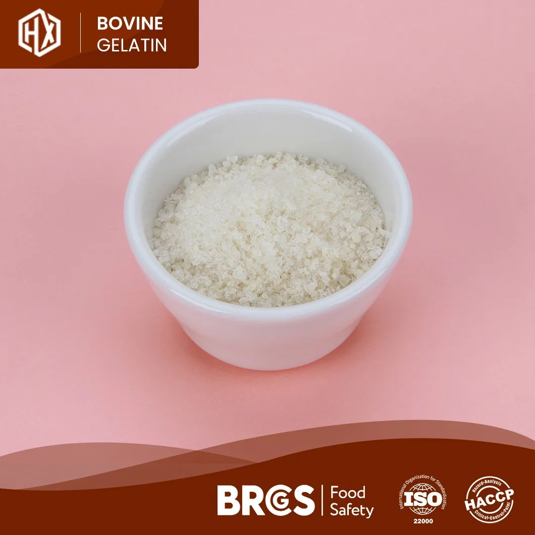 Haoxiang Food Grade Halal Bovine Skin Gelatin Sheet High-Purity Powdered Bovine Skin Gelatin China Supplier Sample Available Halal Edible Bovine Gelatin