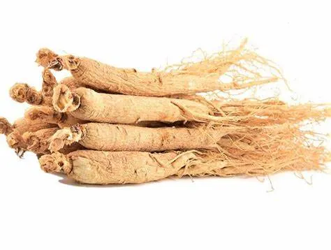 Cuidados de Salud Natural en polvo Extracto de Raíz de Panax ginseng