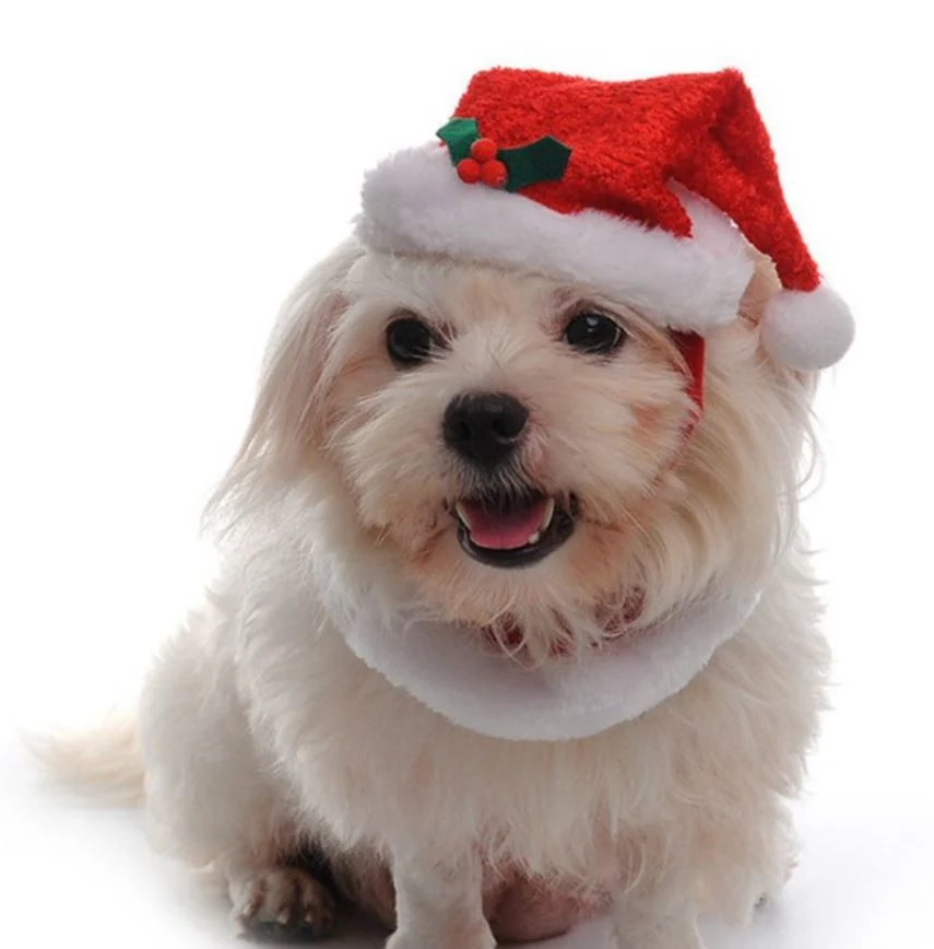 Velvet Dog Products Accessories Coral Christmas Pet Hats Scarfs