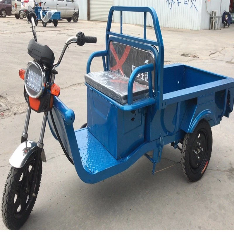 1000W Gear Motor Three-Wheeled Electric Motorcycle with Big Trunk