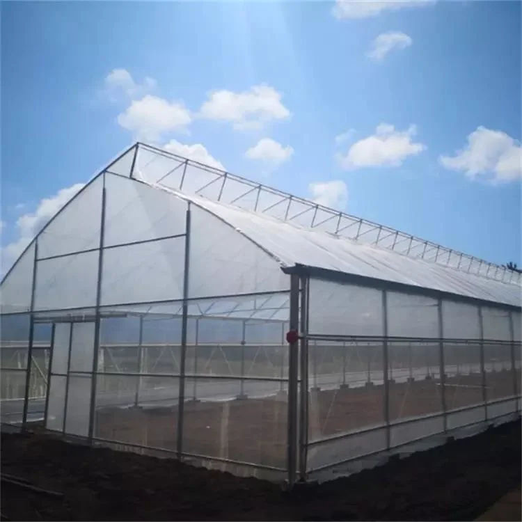 Customized Size Commercial Plastic Aeroponics System Po Hydroponic Systems Plant Film Greenhouse