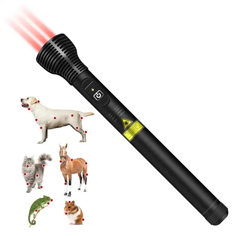 Portable Cold Laser Infrared Therapy Acupuncture Red Laser Pen