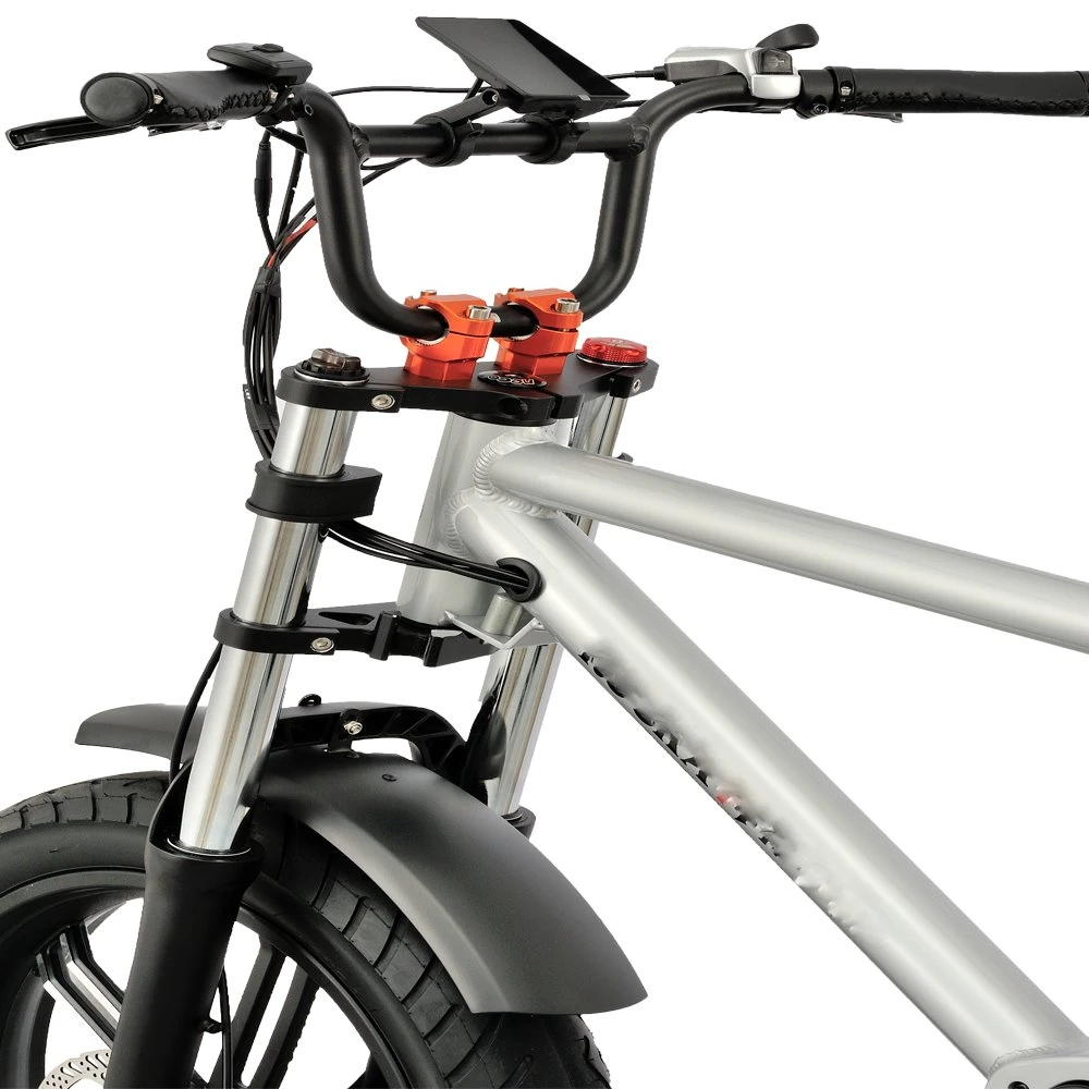 E-Bike экономичные 20" шины, задний привод 750W, движении Бесщеточный двигатель типа жира электрический велосипед