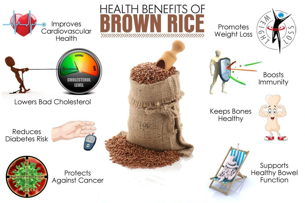 Wholesale/Supplier Brown Rice Protein Health Care Organic Brown Rice Protein Powder