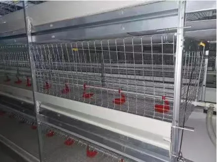 Agricultural Equipment Farming Automatic Plastic Poultry Feeder and Raising Chickens Duck Cage