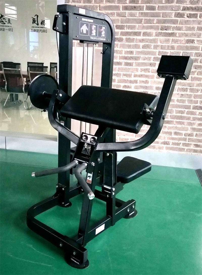 Wholesale/Supplier Commercial Fitness Body Building Gym Machine Camber Biceps Curl Exercise Equipment