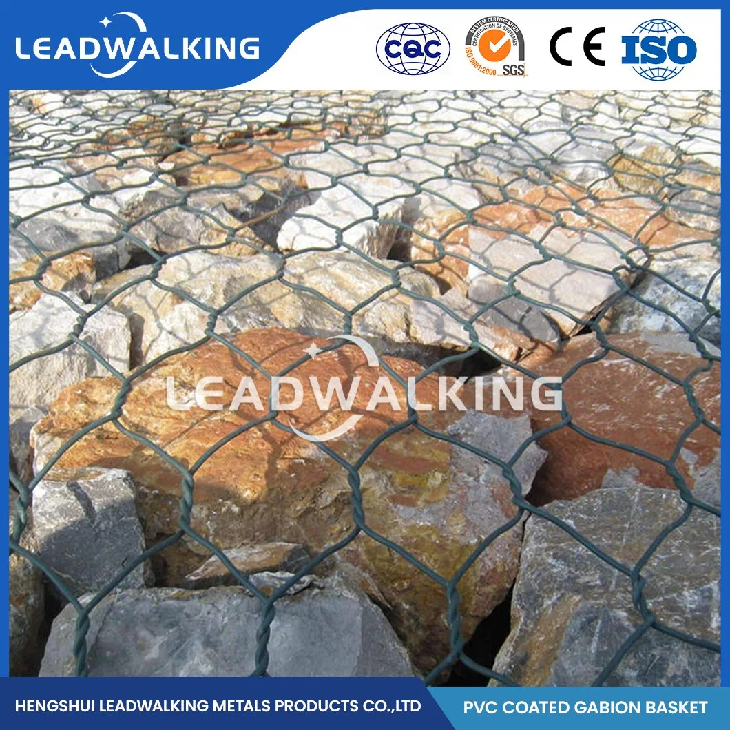 Leadwalking 2.0*1.0*0.5 Size Gabion Mesh Factory 3.0-4.0mm Selvedge Wire Thickness Flood Fighting Galvanized Gabion Mesh China Top PVC Coated Gabion Box