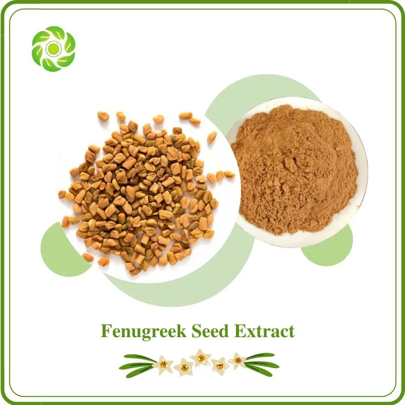 Reduce Cholesterin Natural Fenugreek Seed Extract 5~20: 1 Fenugreek Seed Extract 10% 40% 60% 80% 98% 4-Hydroxyisoleucine Fenugreek Saponin 10%-50%