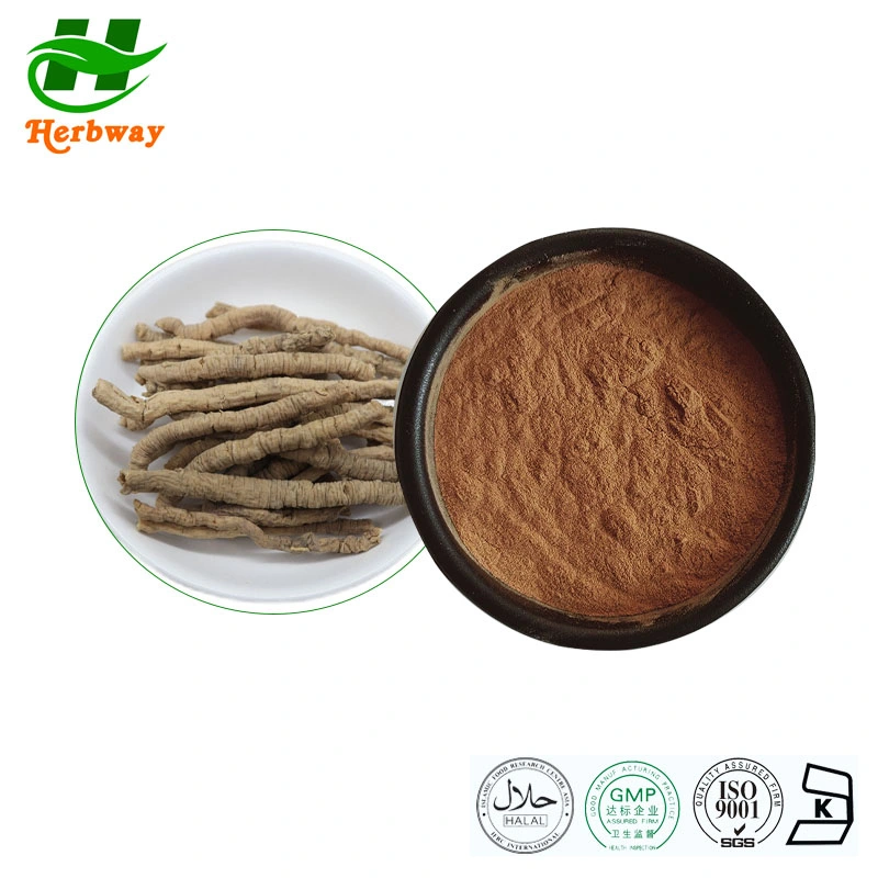 Kosher Halal Fssc HACCP Certified High Quality 100% Natural Polygala Extract