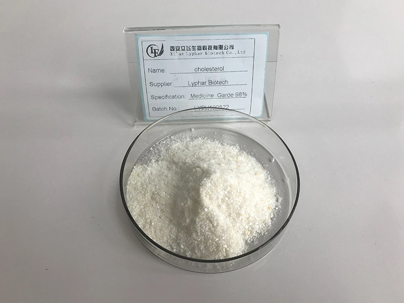 ISO Certified Manufacturer Supply Cholesterol Powder