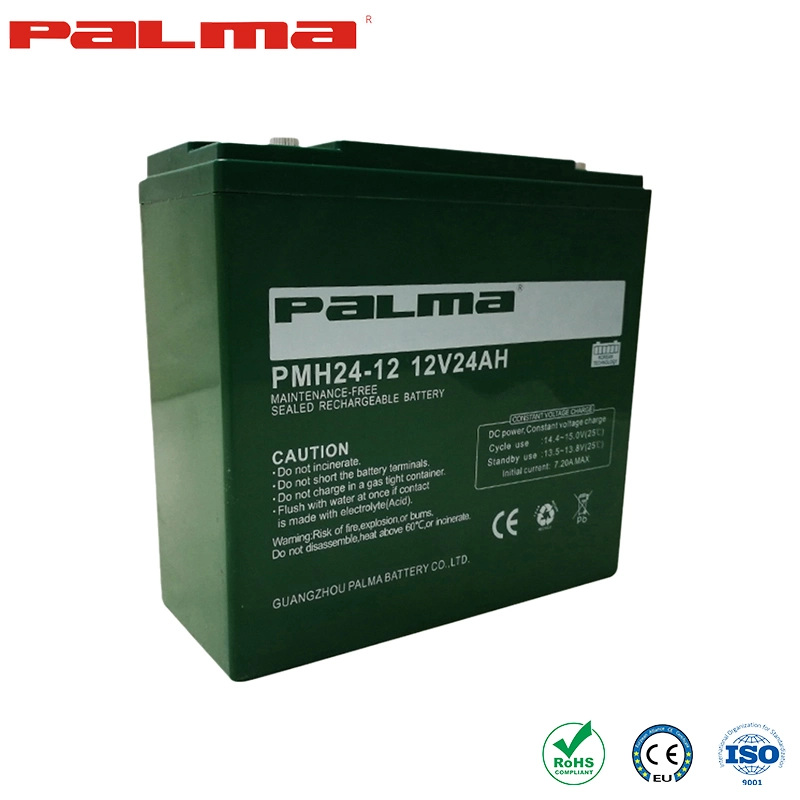 Palma AGM/Gel Battery Ebike Battery Original Factory 12V20ah Electric Vehicle Batteries