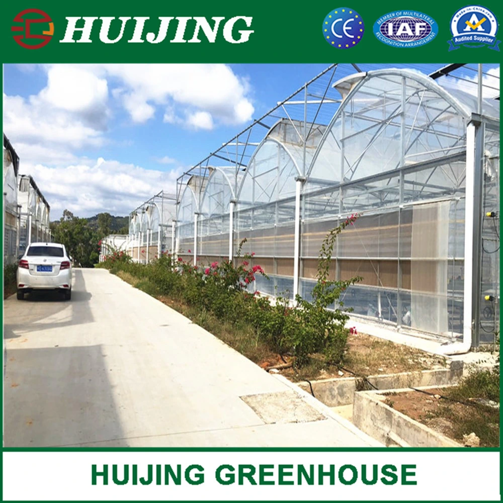 Cheap Customized UV Treated Plastic Film Greenhouse for Tomatoes