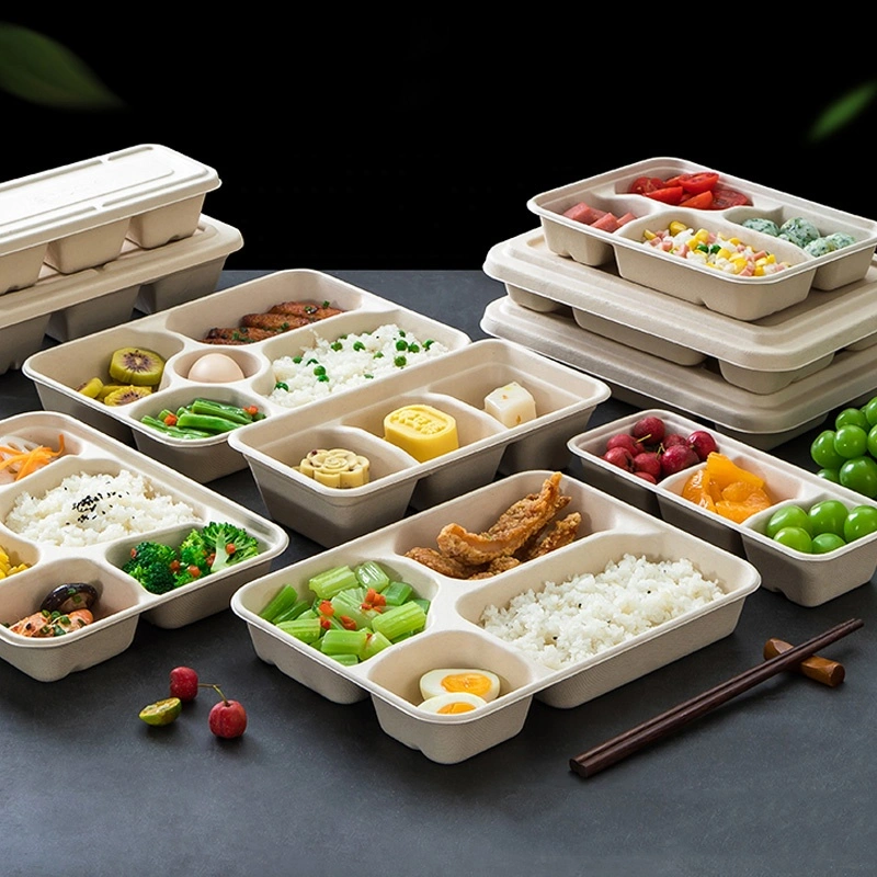 OEM Spaghetti Disposable Lunch Box 2 3 4 5 Compartment Tray Takeaway Bagasse Takeout Fast Lunch Box Take out Food Containers Pulp Lunch Box