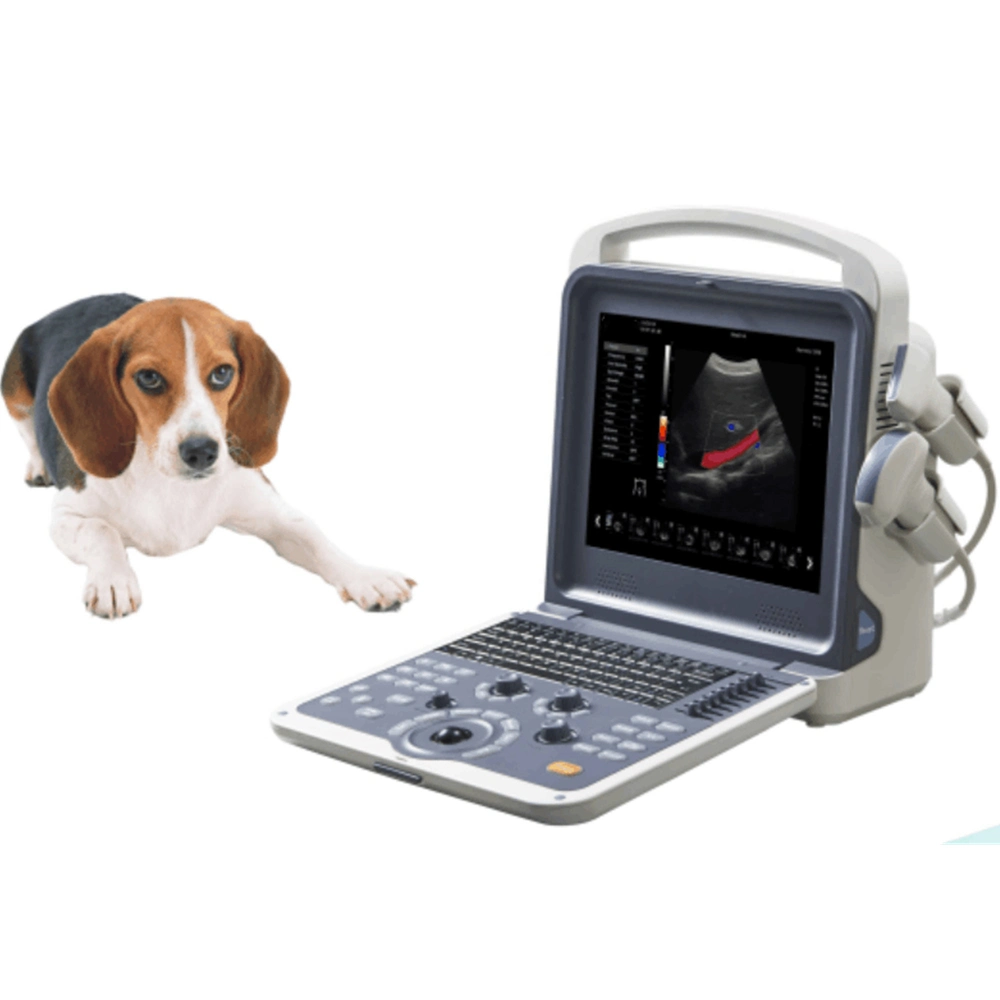 Dispositivo de productos médicos Hospital Veterinario 3D 4D de escáner de ultrasonido escáner Doppler Color instrumentos de análisis de equipos para animales veterinarias