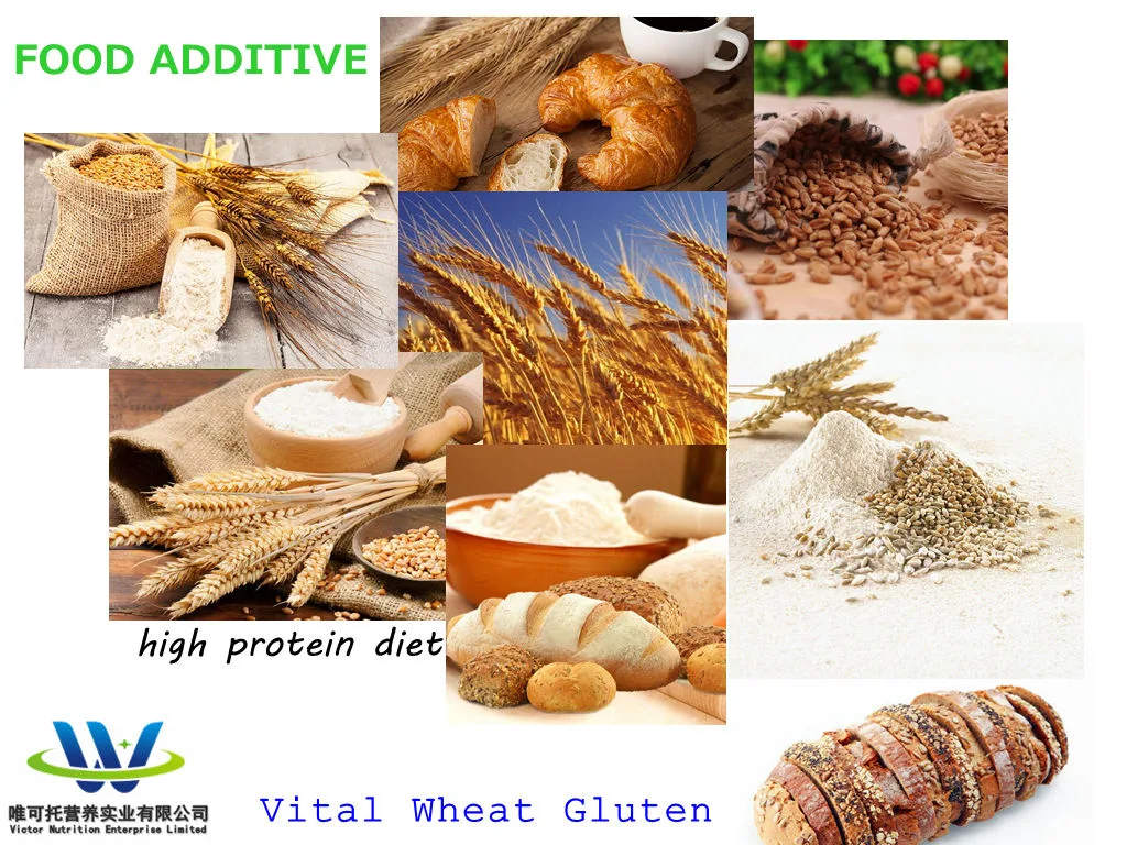 Food Additives 25kg/Bag Vital Wheat Gluten Powder