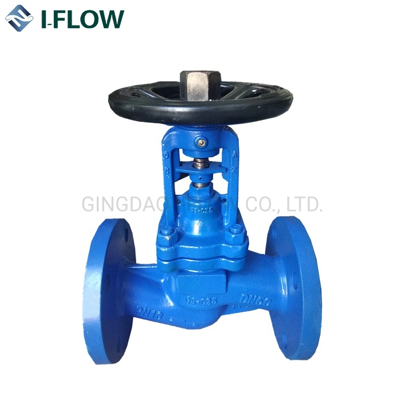 DIN Pn16/ Pn25 Air/Steam Bellows Seal Globe Valve