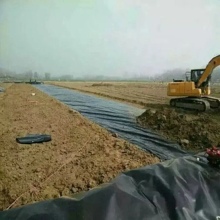 China ASTM Standard Strukturierte HDPE Geomembrane Preis