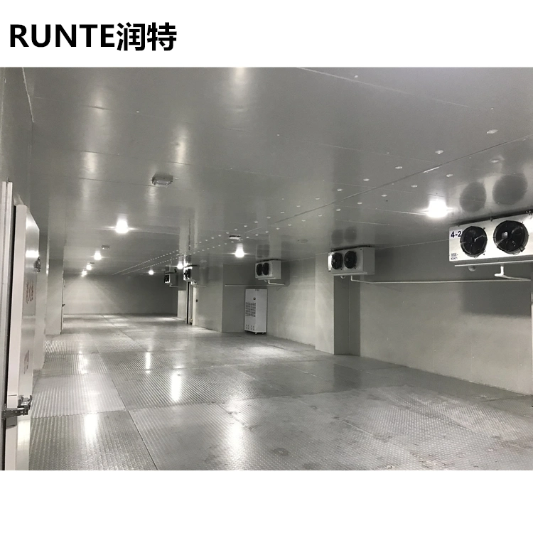 Runte Brand Industrial المتكاثفة الوحدة PU لوحة المشي في الثلاجة حجرة التجميد Air Blast Cold Room Storage for thuroat throat mat الأسماك المأكولات البحرية سابقة التجهيز