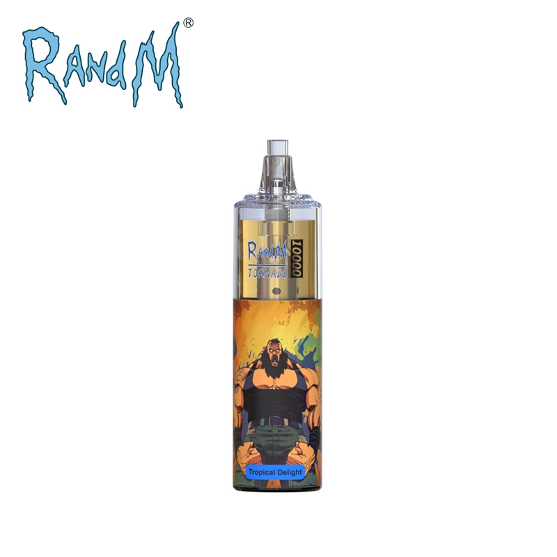 Wholesale/Supplier Disposable/Chargeable Vape Pen Randm Tornado 10000puffs Rechargeable Electronic Cigarette