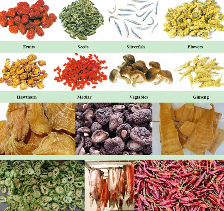 Carne de peixe de gás industrial máquina de desidratação de frutas Ervas Alimentar Ameixa Preço da Máquina Secadora de secagem