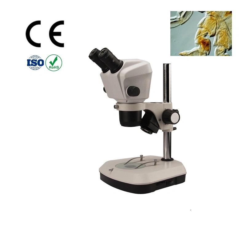 Binocular Stereo Zoom Microscope for 4X-300X (with options)