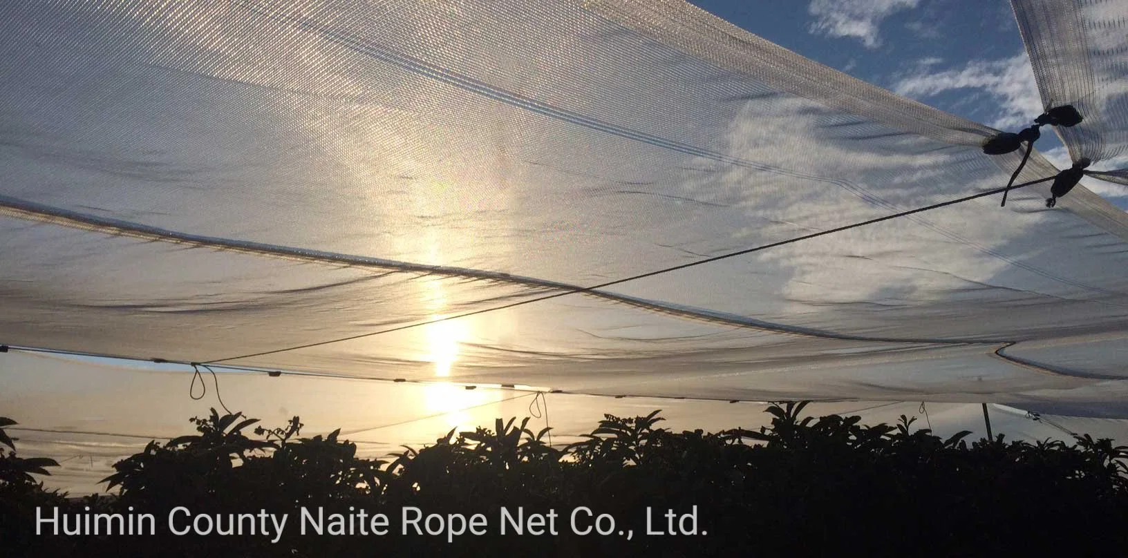 Agriculture 100% New HDPE Sun Shade Netting with High UV