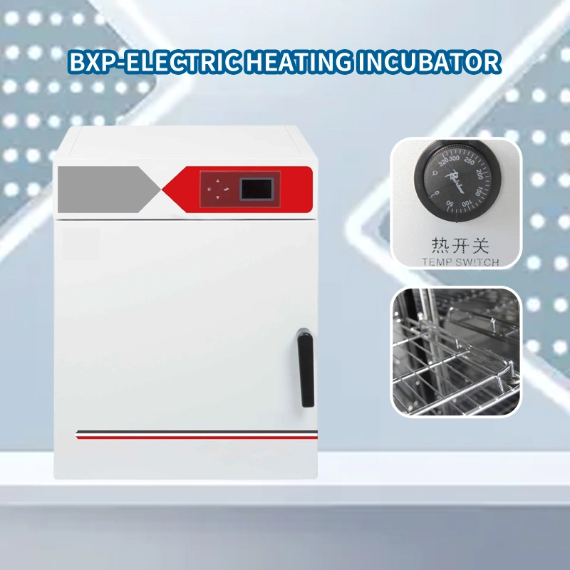 Electric Constant Temperature Incubator Best Selling Lab Instrument Lab Equipment Thermostat Bxp-65