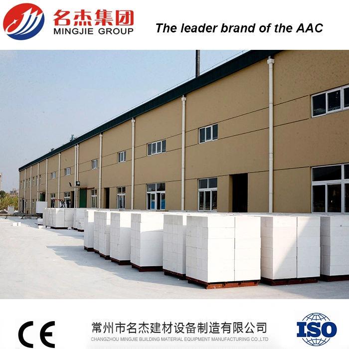 Autoclaved Aerated Concrete Block Manufacturing Equipment