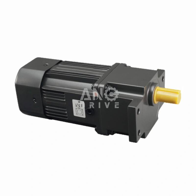 6W de alta calidad 10W 15W 25W 30W 40W 60W 90W 120W 250W 370W CA Control de velocidad de inducción eléctrica motorreductor