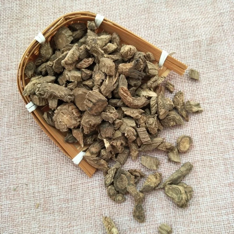 Chuan Xu Duan Factory Supply Natural Herb Medicine Dipsacus asperoides for Health