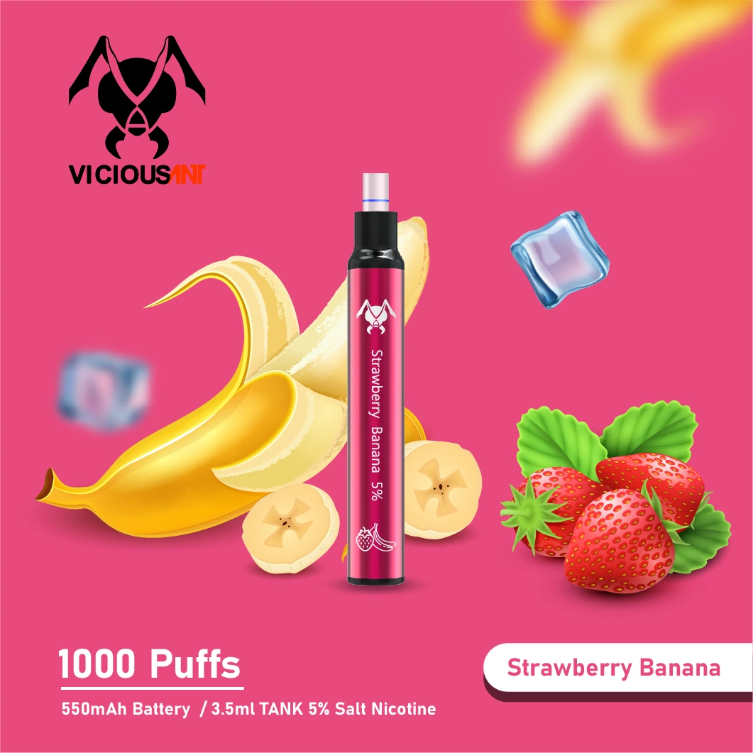 Hot Sale Wholesale/Supplier Disposable/Chargeable Vape 1000 Puffs OEM Mod