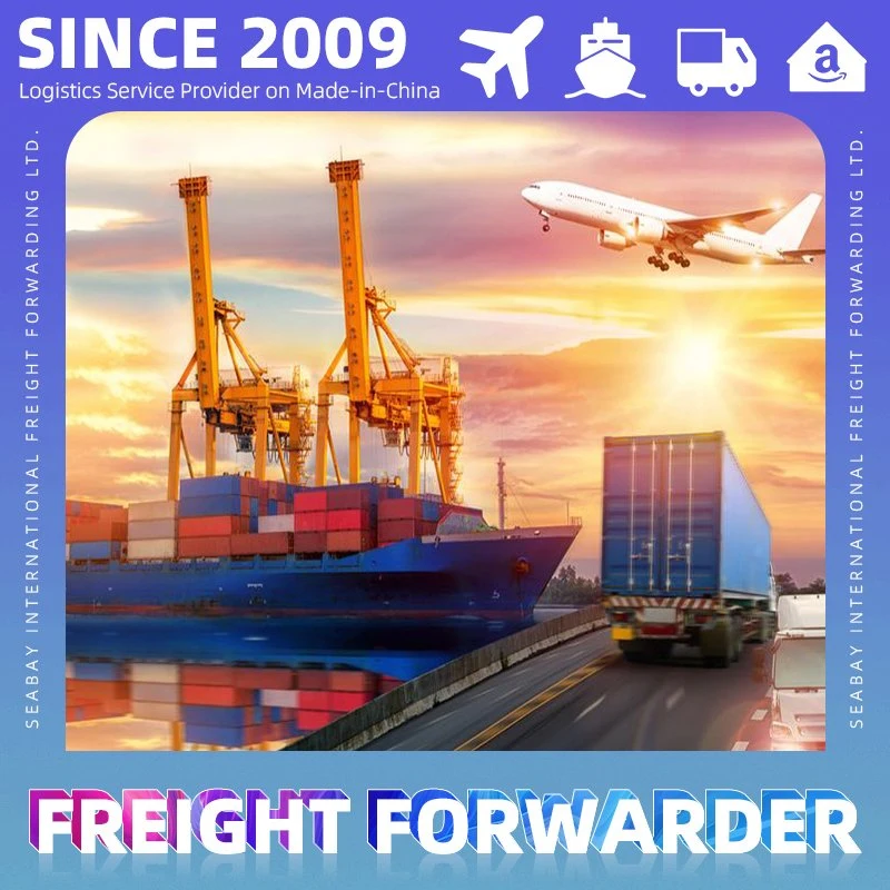 Porfessional FCL LCL Shipping Logistics Service From Shanghai Guangzhou China to UK