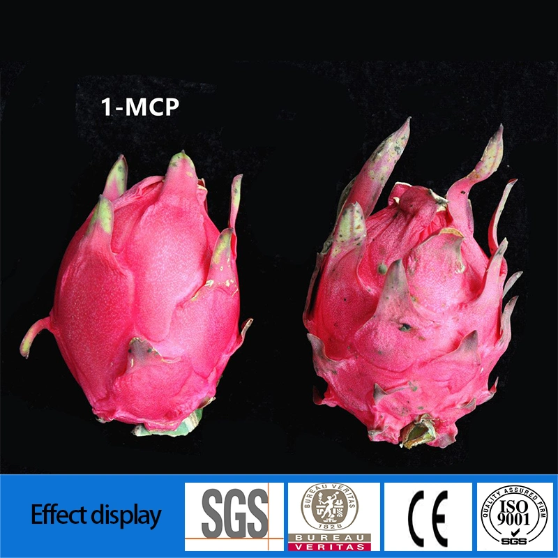 Nº CAS 3100-04-7 1-Methylcyclopropene 1-MCP Polvo blanco tableta en frutas y verduras frescas de Agente de mantenimiento