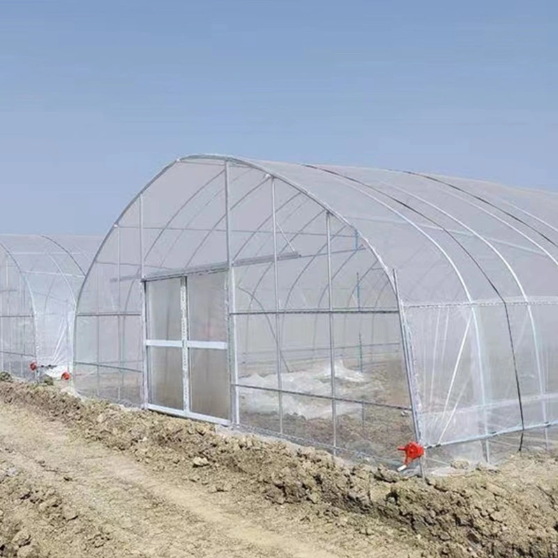 El patio jardín personalizado plástico pequeño Polytunnel andando en invernadero de flores y sandía