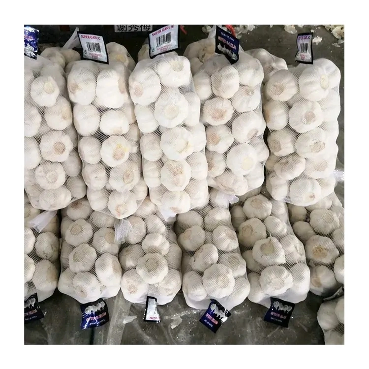 China a bajo precio el ajo a granel 10kgs 55/60cm - Ventas en caliente