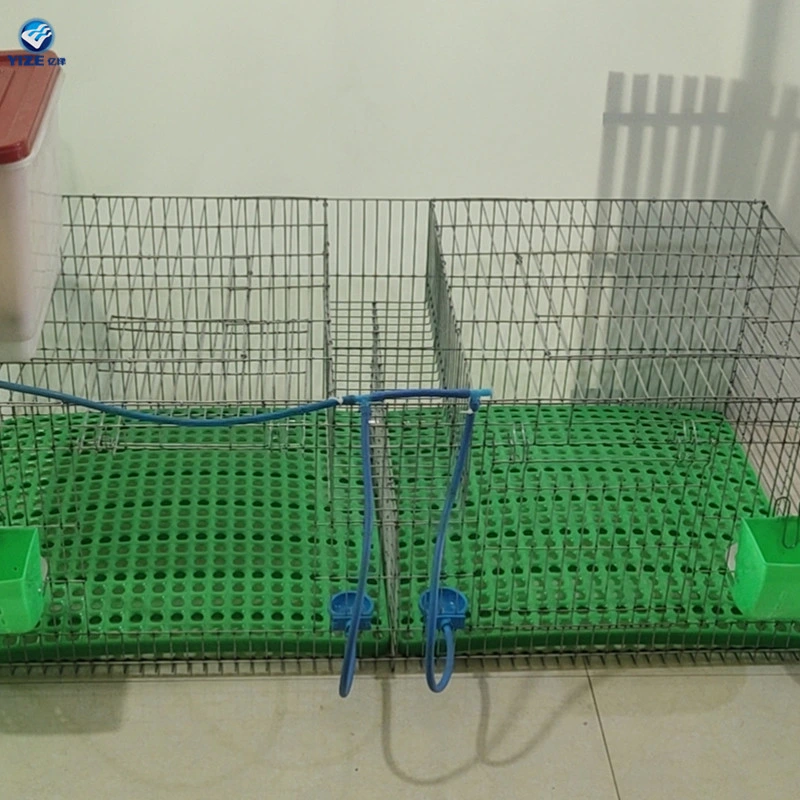 Metal Stainless Steel Material Netting Door Large Rabbit Goose Duck Broiler Run Cages Automatic Chicken Coop China Supplier