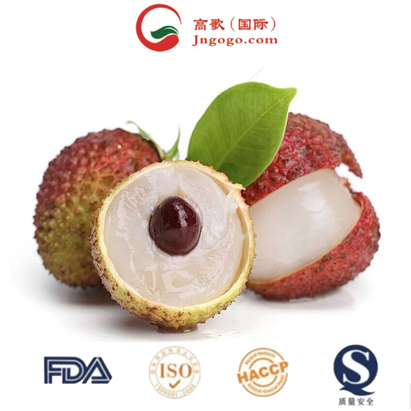 Wholesale/Supplier Fresh Lychee with Sweet Taste Lychee 100% Natural Agriculture