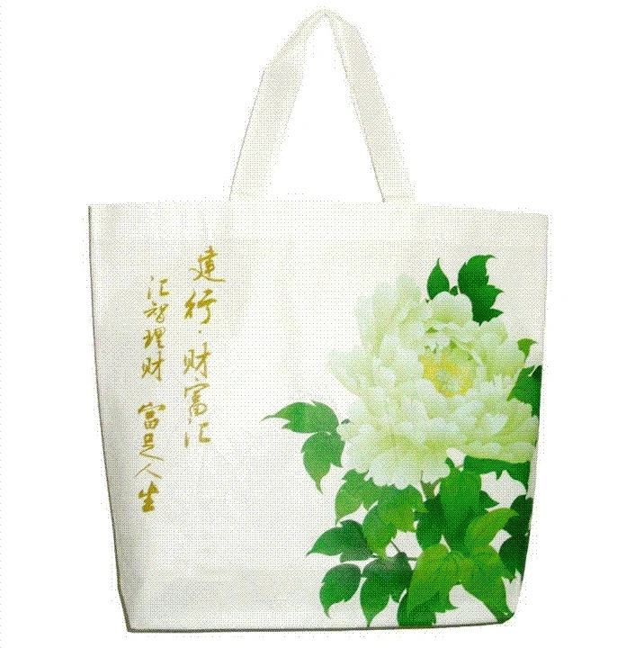 Non-Woven Gift Shopping Bags for Fashion Use (FLN-9116)