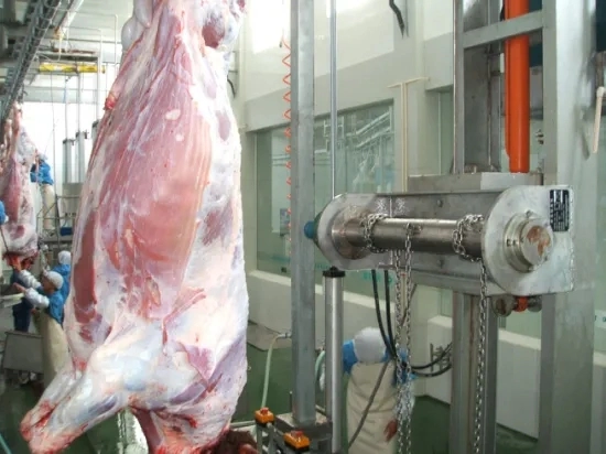 حلال الماشية لحم البقر اللحوم البقرة ذبح آلة المعدات Abattoir Sضاحكة