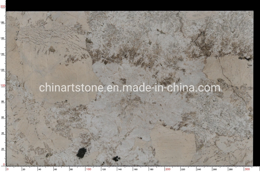 Nature Marble Granite Quartzite Stone Slab for Guestroom Wall