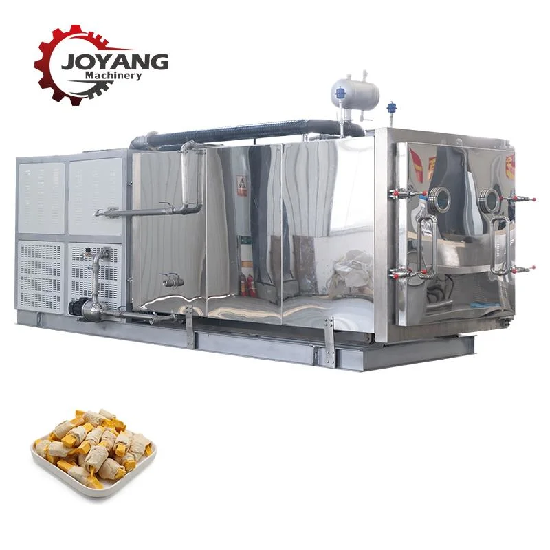 Industrial 30 Square Meter Vacuum Freeze Dryer for Drying Fruit Vegetable Meat