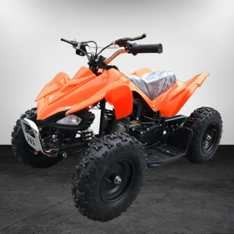 Factory Directly Wholesale/Supplier Good Quality Cheap Price 49cc Kids Quad for Sale