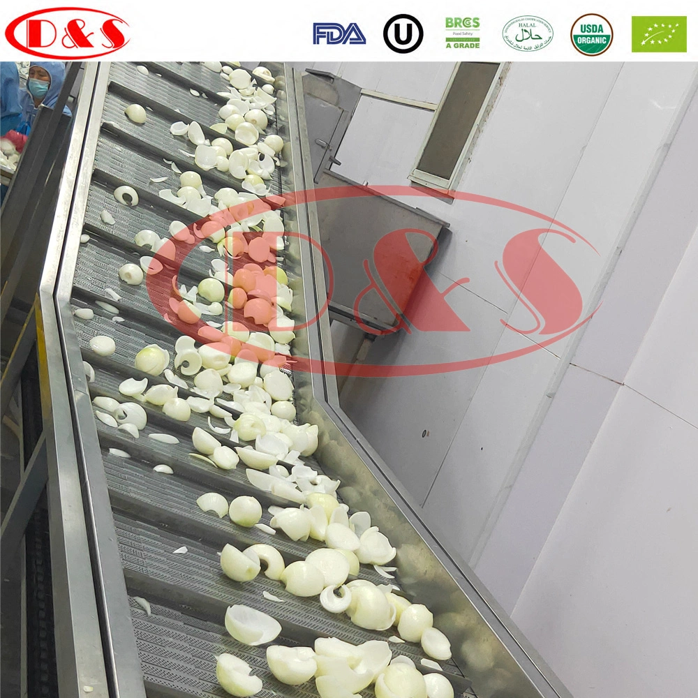 Qingdao Factory Price for Frozen Onion Diced/Sliced White IQF Onion