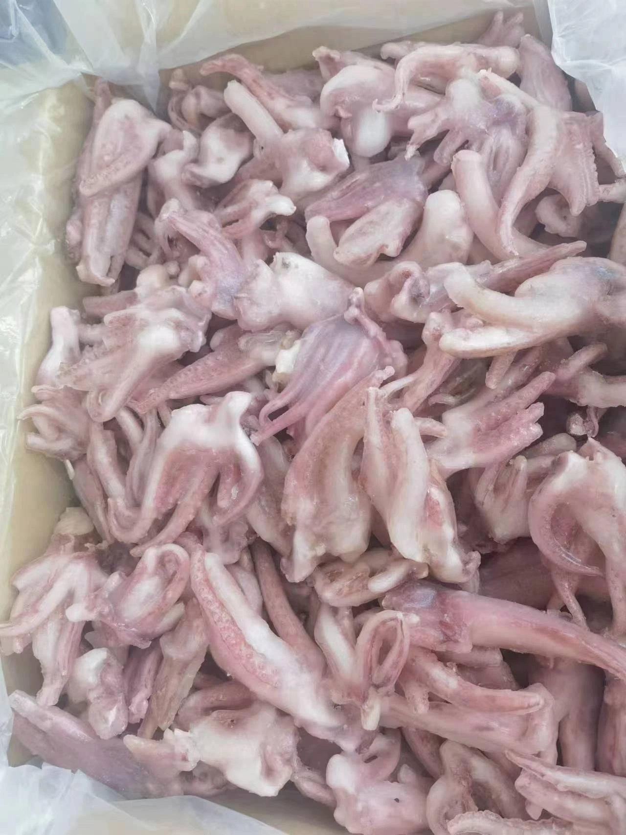 Vente de fruits de mer congelés Hot Gigas Squid/Calamar Pota tentacule avec des prix bon marché